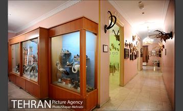 موزه حیات وحش هفت چنار 32