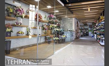 مرکز گل و گیاه ایوار 4