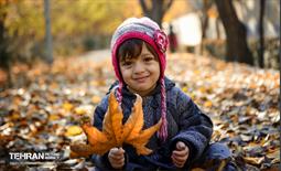 گذرگاه های پاییزی پایتخت - منطقه 14