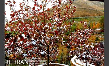 بارش پاییزی برف در ارتفاعات بوستان کوهستانی آبشار تهران‎ 17