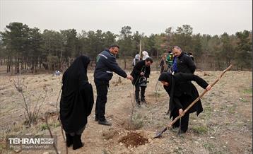 کاشت 2000 نهال مثمر در بوستان جنگلی چیتگر 18