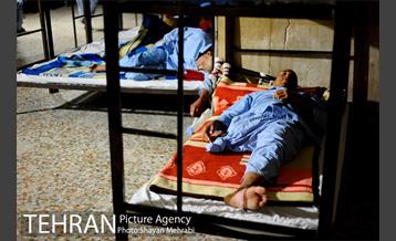 گرمخانه ها 11