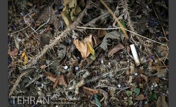 فیلتر سیگار زباله است 8