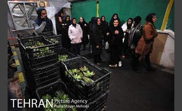 بازدید قائم مقام معاونت اجتماعی و جعمی از هنرمندان از سرای امید طلوع 37