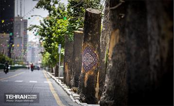 جان دوباره در درختستان 24