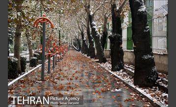 بارش برف پاییزی در تهران 19