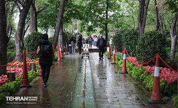 به وقت اردیبهشت؛ باغ ایرانی 30