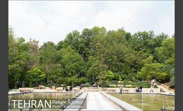 بوستان نیاوران 6