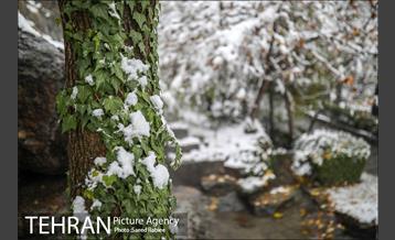 برف زمستانی پارک جمشیدیه 21