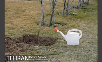 روز درختکاری در گنبد مینا 10