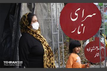 یازدهمین جشنواره صد دانه یاقوت 2