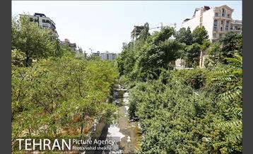 بوستان تندرستی 18