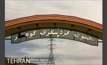پارک جنگلی کوهسار 4