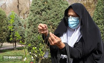 مراسم‌ کاشت نهال در بوستان بهاران منطقه ۱۷