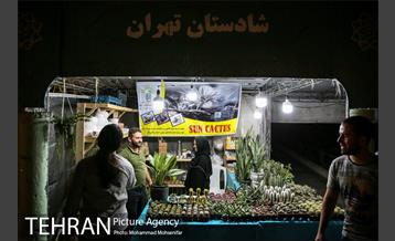 ویژه برنامه فرهنگی کوچه های تهران 11