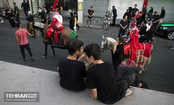 ورود نمادین کاروان امام حسین‌(ع) به کربلا 5