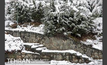 برف زمستانی پارک جمشیدیه 4