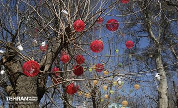 طرح نوروزی آرامش بهاری در آستان مقدس امامزاده شعیب علیه السلام  14
