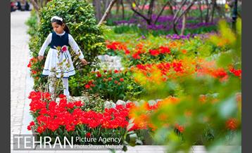 روش گل های لاله در باغ ایرانی 11