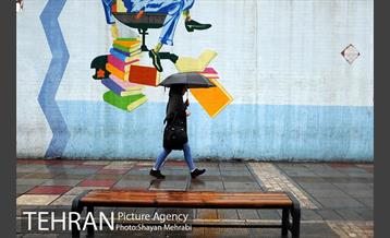 بارش باران بهاری در تهران  23