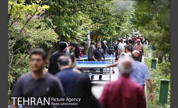 گذر فرهنگی هنری پنجشنبه های بلوار کشاورز 13