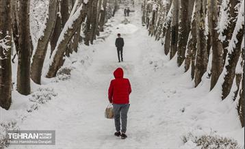 روایت مه‌و‌برف در بوستان سنگی تهران  45