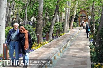 رویش گل های لاله در باغ ایرانی 14