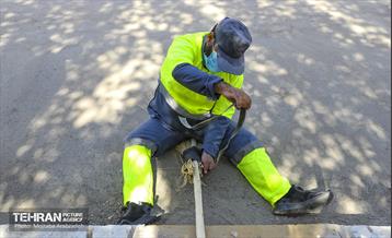 حضور نیروهای خادم الحسین(ع) در نجف اشرف 8