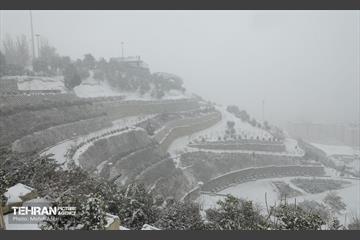 بارش برف زمستانی در منطقه ۲ 16
