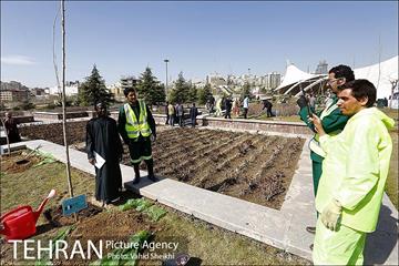 آیین کاشت درخت صلح و دوستی 43