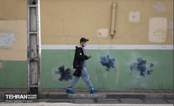 زخم بی فرهنگی بر دیوارهای شهر 8