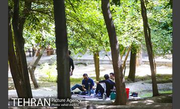 بوستان قیطریه 7