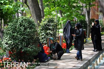 رویش گل های لاله در باغ ایرانی 42