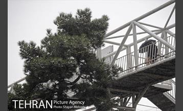 برف پاییزی در تهران 4