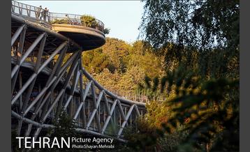 به مناسبت ده سالگی پل طبیعت 7