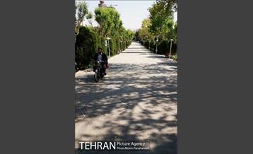 بوستان های خیابان ولیعصر 24