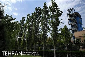نگاهی به منطقه 16 شهرداری تهران 16