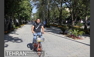 گذر پیاده راه استاد شهریار 3