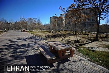 بوستان پلیس 46