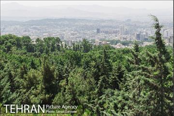 بوستان جمشیدیه‎ 3