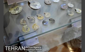 موزه طبیعت و حیات وحش دارآباد تهران 40