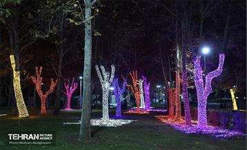 جشنواره «نور در یلدای ایرانی» در بوستان ملت 7