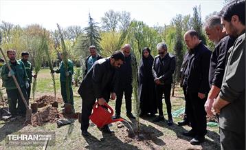 آیین درخت‌کاری به مناسبت روز طبیعت 13