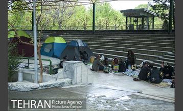 روز طبیعت بارانی در بوستان لاله 3