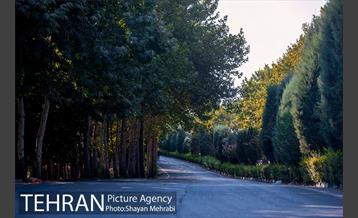 بوستان جنگلی چیتگر 4