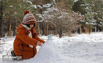 روز برفی در منطقه 13 5