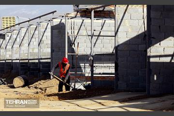 اینجا کارگاهه؛ بازار پرندگان خلیج فارس 13
