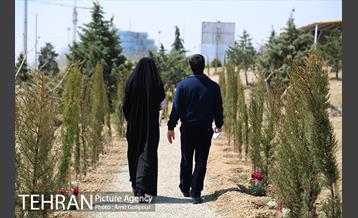 باغ گل لاله های ایرانی در بوستان آبشار تهران‎ 33