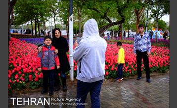 جشنواره لاله‌ها در بوستان زندگی محله هرندی 21