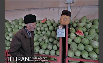 میدان میوه وتره بار شهید غیبی شهرری 1